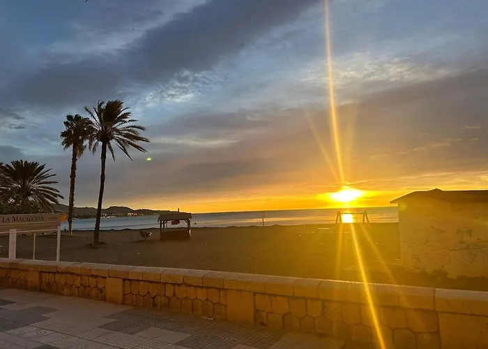 Live Your Dream Life In *